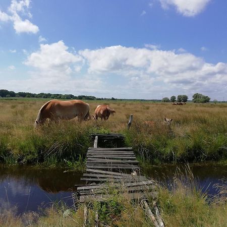 Dom Goscinny Ptaszarnia - Natura-Free Parking Świnoujście Екстериор снимка