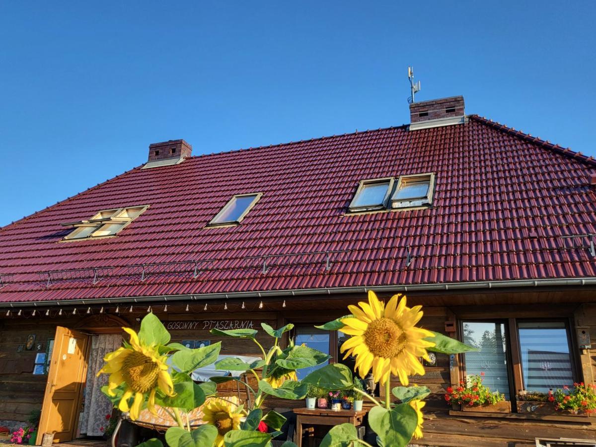 Dom Goscinny Ptaszarnia - Natura-Free Parking Świnoujście Екстериор снимка