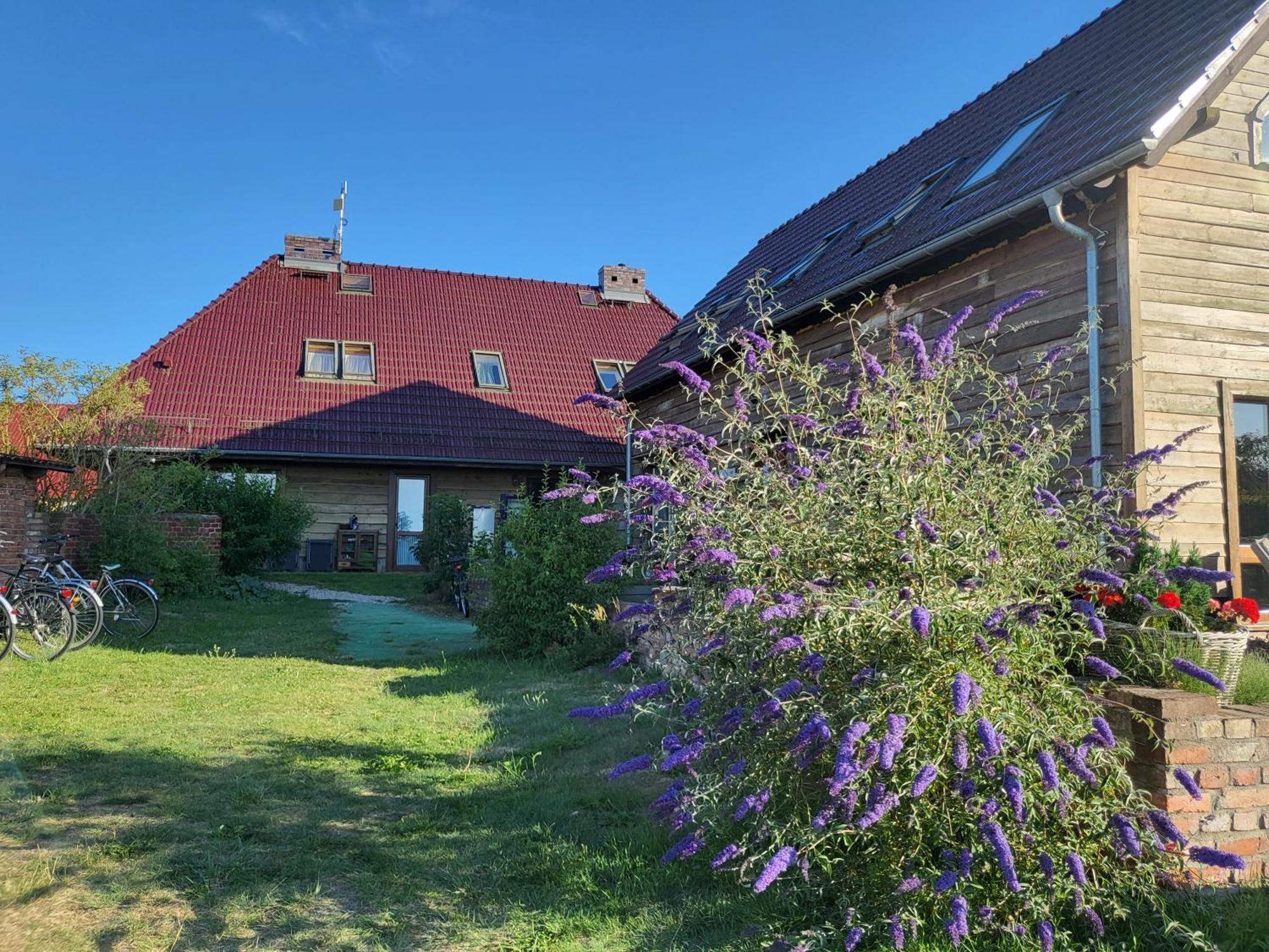 Dom Goscinny Ptaszarnia - Natura-Free Parking Świnoujście Екстериор снимка