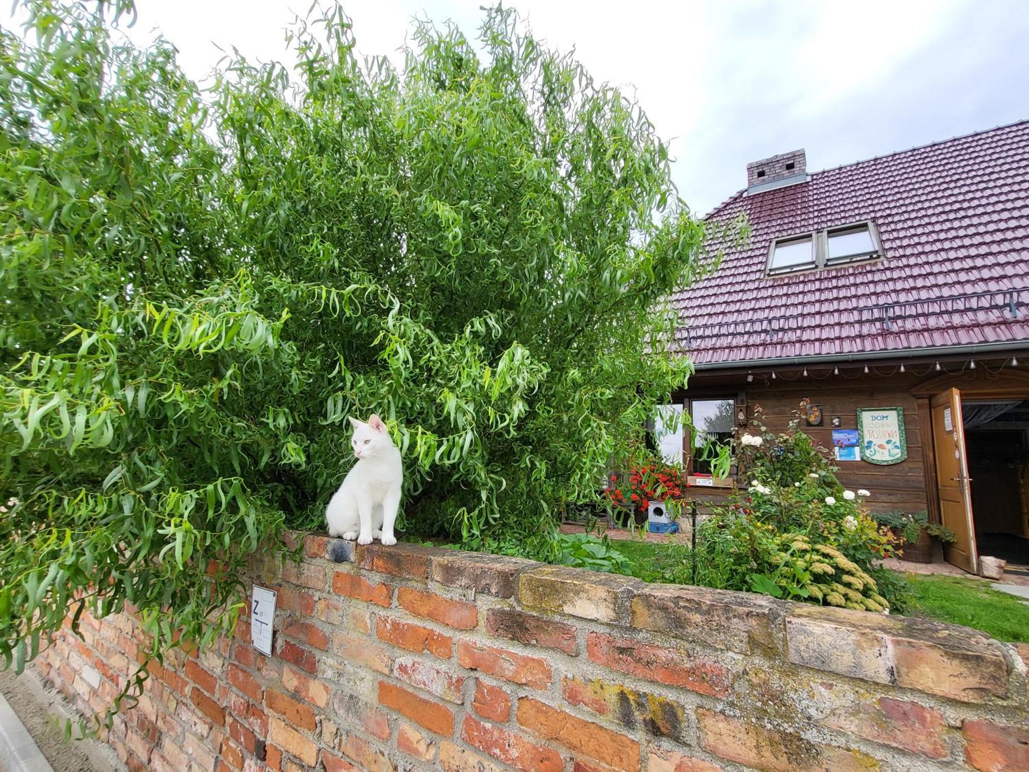 Dom Goscinny Ptaszarnia - Natura-Free Parking Świnoujście Екстериор снимка
