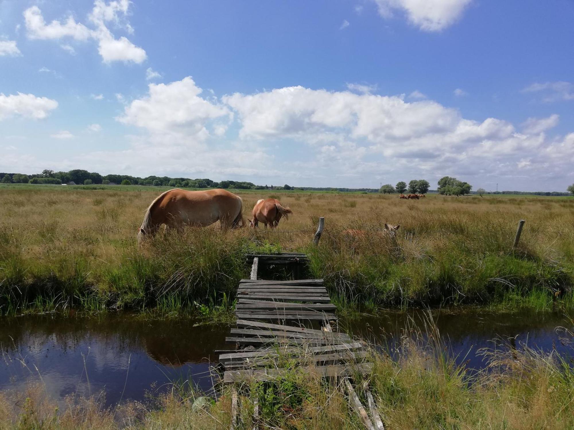 Dom Goscinny Ptaszarnia - Natura-Free Parking Świnoujście Екстериор снимка